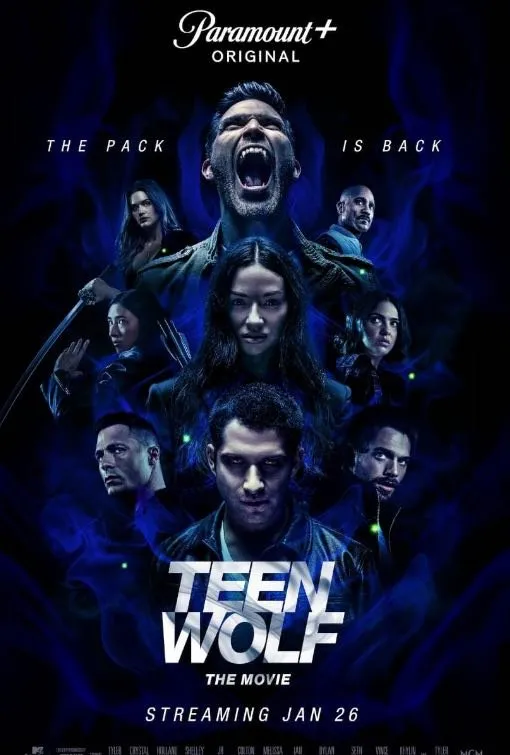 Affiche de film ou série 7